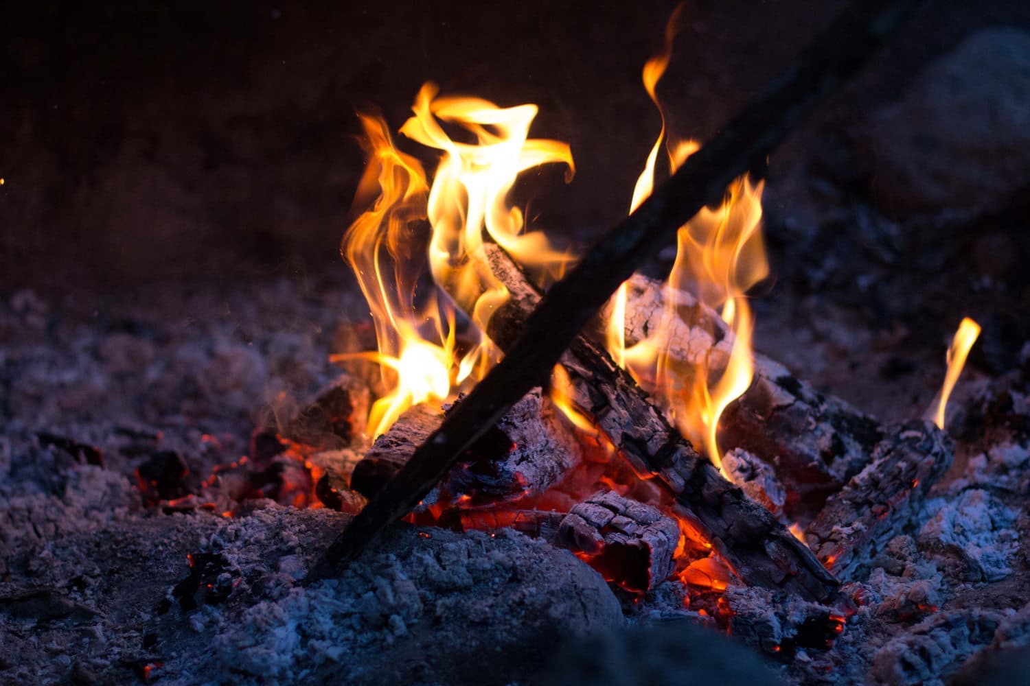 Fireside conversations