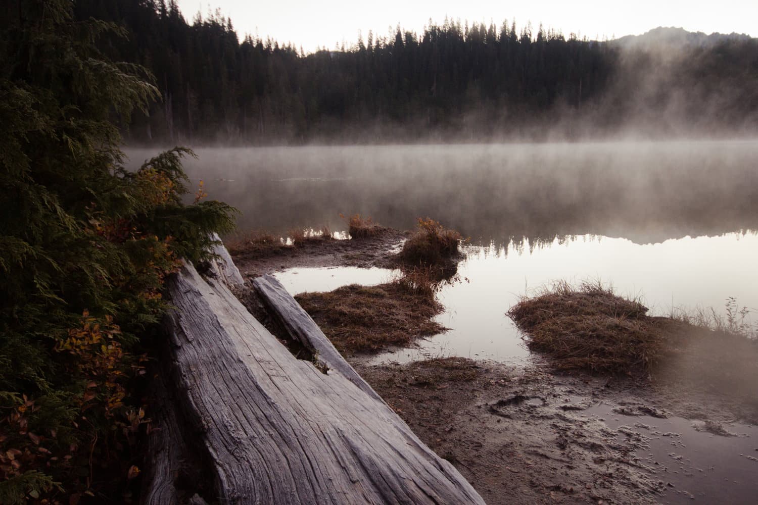 Early-morning lake mist is a gift. Early-morning frozen hands, not so much.