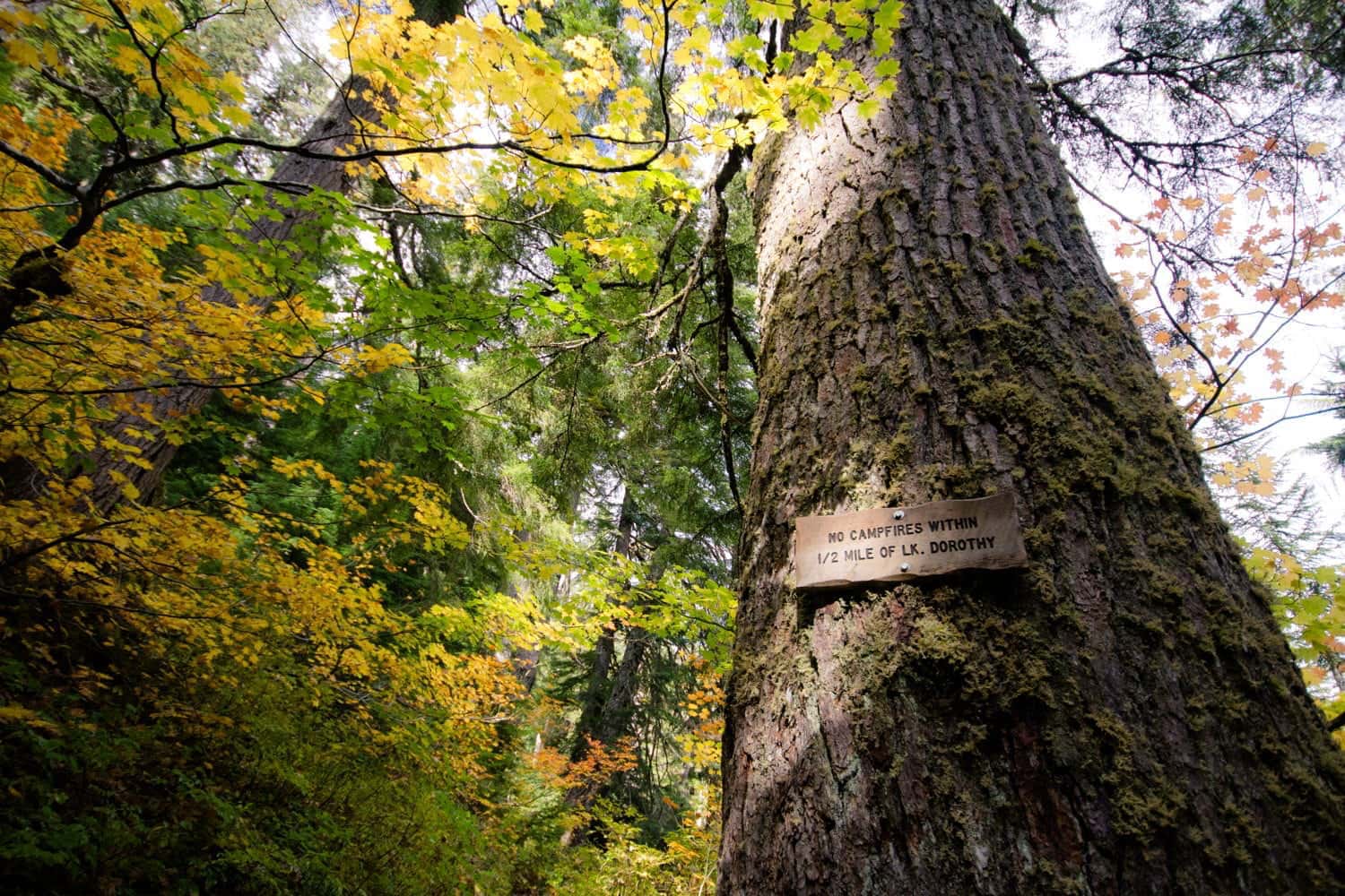 A firepit while camping