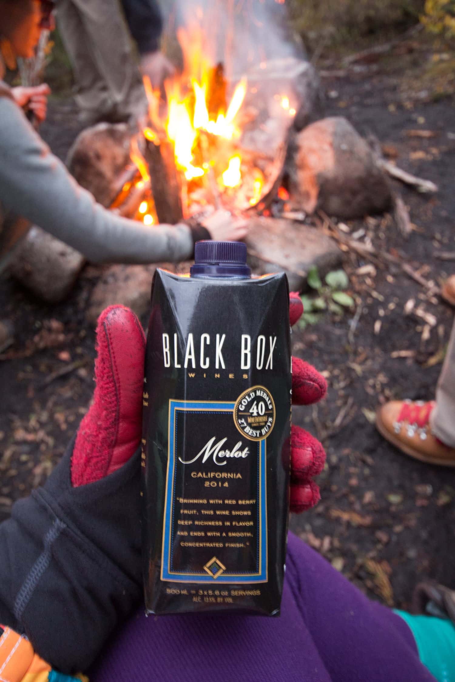 Bringing tiny juice!box style wine was a very good call