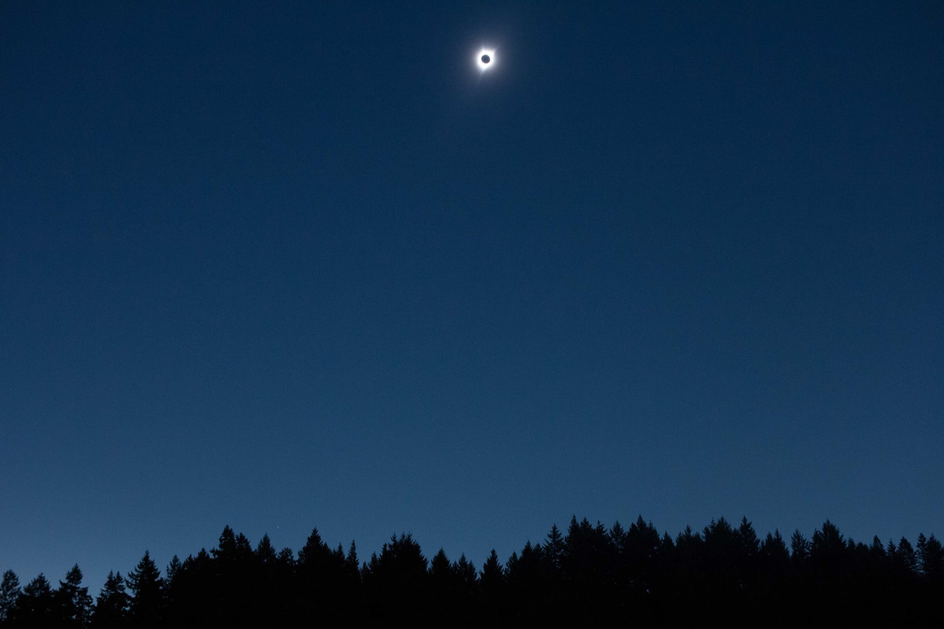 You have to howl at the moon when it comes up at 10am. It's the rules.