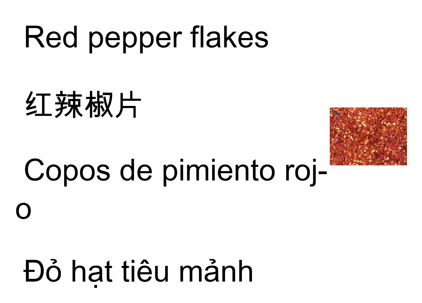 A screenshot of a translation application