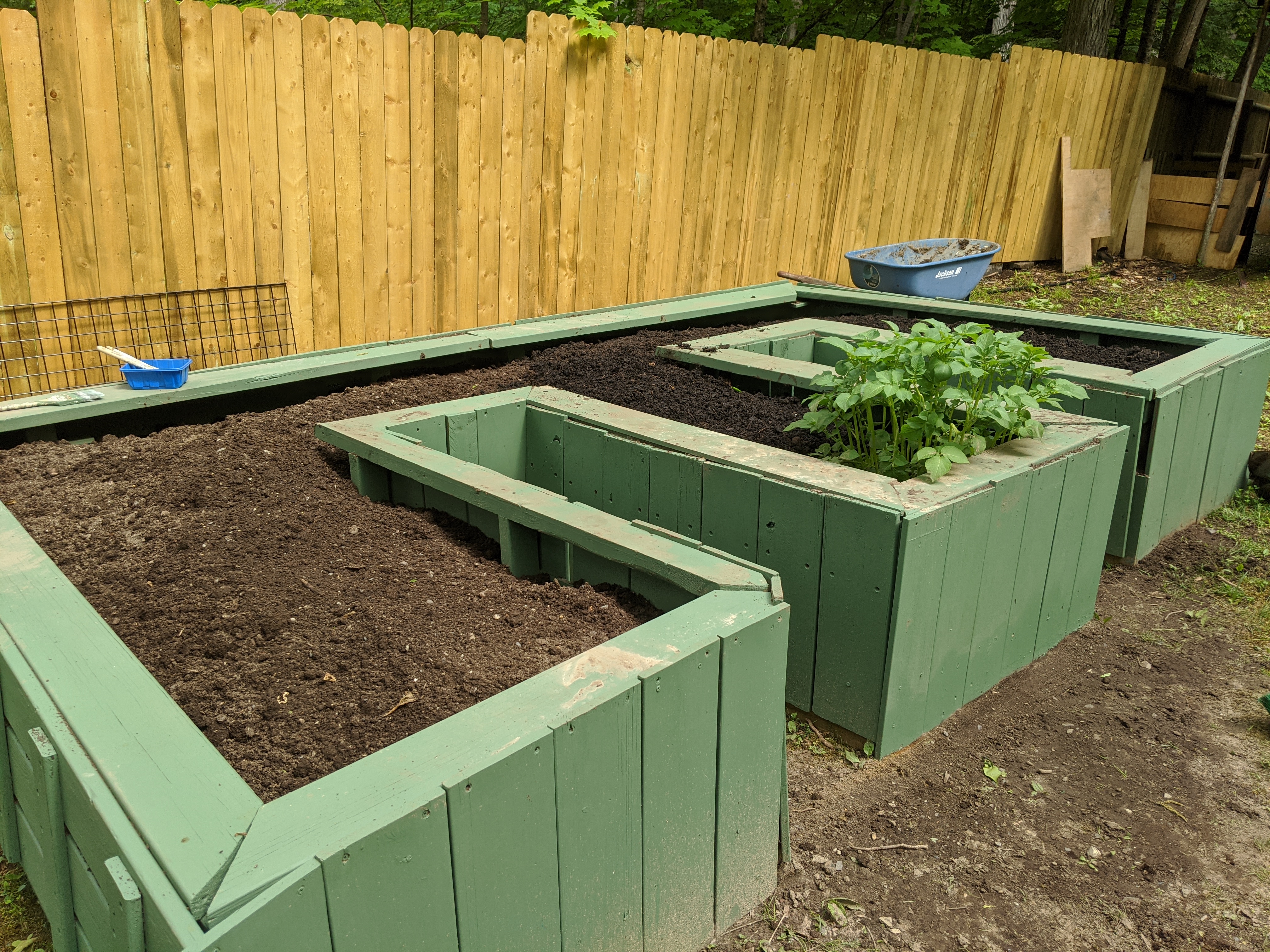 A photo from the garden